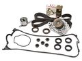 Evergreen Tbk224vct2 For Honda Del-sol 1 6l D16y7 Timing Belt Kit Valve Cover Gasket Water Pump 