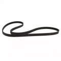 Motorcraft Drive Belt 