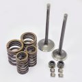 Engine Valve Spring Kit Fit Serow Xt225 Tri-moto Ytm225 Moto-4 Yfm225 Ttr225 Tt225 