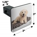 Golden Retriever Puppy Dog Knotty Blanket Tow Trailer Hitch Cover Plug Insert