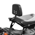 Motorcycle Rear Backrest For Ruckus Zoomer Nps50 2003 2024 Passenger Or Front Rider Lumbar Support Sissy Bar Aluminium And