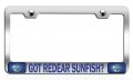 Got Redear Sunfish Fishing Chrome Metal License Plate Frame Tag Holder Universal Fit Stainless Steel For Us And Canada Vehicles 