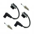 2 Sets Of 21171-0743 Ignition Coil Module For Kawasaki Fr691v Fr730v Fr541v Fr651v Fr600v Fs Fx Series Lawn Mowers Engines