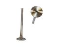 Dnj Engine Components Ev802 Exhaust Valve 