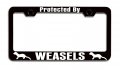 Protected By Weasels Black Metal License Plate Frame Heavy Duty Steel Tag Holder For Cars Trucks And Suvs 12 5 X 6 In Universal 