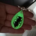 Ptgmh Keychain Black Scorpion Resin Key Ring Glow In The Dark Pendents With Insect Sample Inside For Bag Decoration