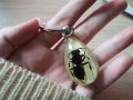 Ptgmh Keychain Black Scorpion Resin Key Ring Glow In The Dark Pendents With Insect Sample Inside For Bag Decoration