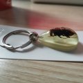 Ptgmh Keychain Black Scorpion Resin Key Ring Glow In The Dark Pendents With Insect Sample Inside For Bag Decoration