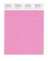 Pantone Smart 15-2215x Color Swatch Card Begonia Pink 