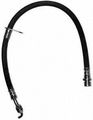 Raybestos Bh381289 Professional Grade Brake Hydraulic Hose 