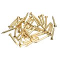 35pcs Small Tiny Nails 2x20mm Dxl Brass Hardware Round Head Nail For Wooden Diy Projects Decorative Boxes Household Tone 