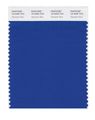 Pantone Smart 19-4056x Color Swatch Card Olympian Blue 
