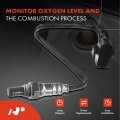 A-premium O2 Oxygen Sensor Compatible With Audi A8 Quattro 2000-2003 V8 4 2l Akb S8 2001-2003 Ays Upstream And Downstream 4-pc
