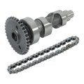 Camshaft And Chain Replacement For 14401-hn5-671 Rancher Trx350 2000-2006 