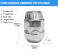 Npauto Lug Nut M14 X 5 Thread Chrome Set Of 20 Nuts Closed End Bulge Acorn 1 4 Long Cone Seat 13 16 Hex For Dodge Charger Ford