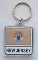 Jersey Lucite Keyring 