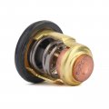 Topteng Thermostat 50a C For Yamaha 6e5-12411 6h3-12411
