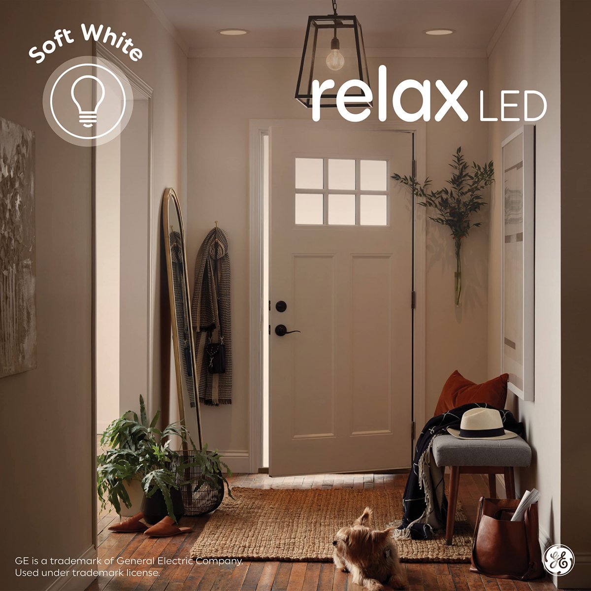 Ge Lighting 36988 Relax Led Hd Light 2 Bulbs Frosted Count