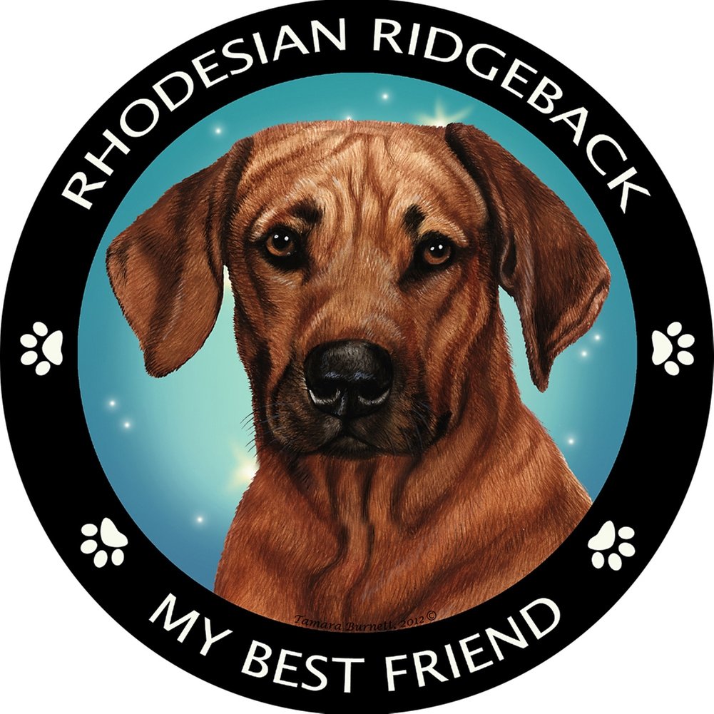 Rhodesian Ridgeback My Best Friend Magnet