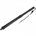Aintier Automotive Replacement Shock Lift Supports Fit For Toyota Rav4 2019-2020