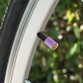 Looney Tunes Taz Motorcycle Bicycle Bike Tire Rim Wheel Aluminum Valve Stem Caps