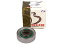 Evergreen Tbk6mwp For Honda Prelude Si Vtec 2 2 H22a1 Timing Belt Kit Gmb Water Pump 