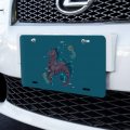 Graphics More Hippocampus Mythical Sea Horse With Fish Novelty Metal Vanity Tag License Plate