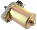 Crank-n-charge 18642n Starter Compatible With Replacement For Eton Lightning 50 49cc 1999-2001 Txl 2000-2001 Viper 2002-2004