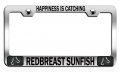 Happiness Is Catching Redbreast Sunfish Fishing Chrome Metal License Plate Frame Tag Holder F20 