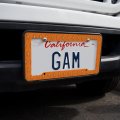 Graphics More Looney Tunes Sam Face License Plate Tag Frame
