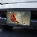 Graphics More Cardinal Red Bird On Tree Branch Novelty Metal Vanity Tag License Plate