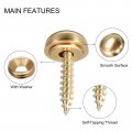 Uxcell 4pcs Decorative Screws With Caps 13mm Dia Brass Mirror Fixing Fasteners For Mirrors Tables Furniture Gold