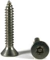 Torx W Pin Tamper Proof Security Flat Head Sheet Metal Screws 18-8 Stainless Steel 6 X 3 4 T-10 Qty-250 