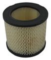 Pentius Pab3924 Ultraflow Air Filter 