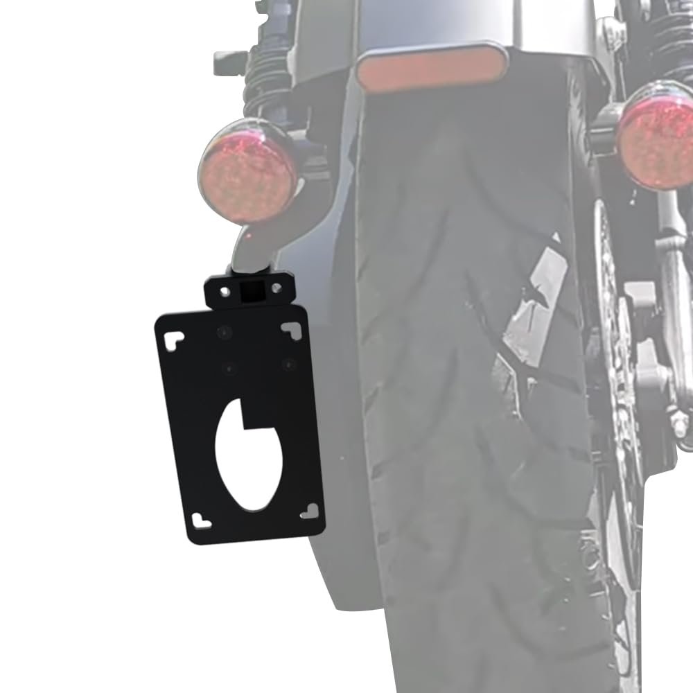 Side Fender Eliminator For Scout Bobber 2025 2026