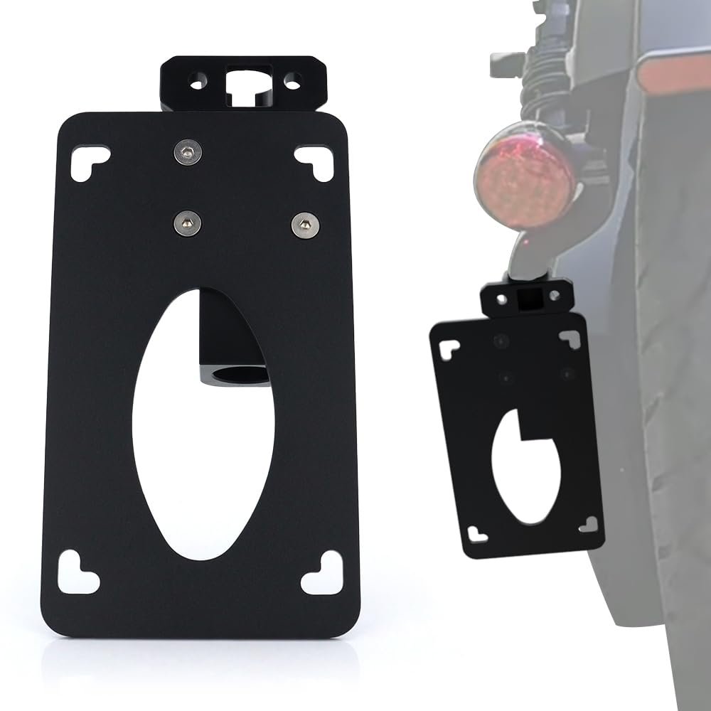 Side Fender Eliminator For Scout Bobber 2025 2026