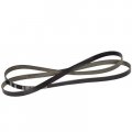 Motorcraft Drive Belt 