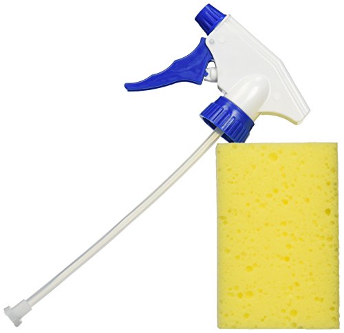 P21s 10500b Wheel Cleaner Kit