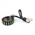 Topteng Stator Coil Fit For Suzuki Tu125 1999 Gs125 1982-1994 Gn125 1982-2001 Mageneto Generator