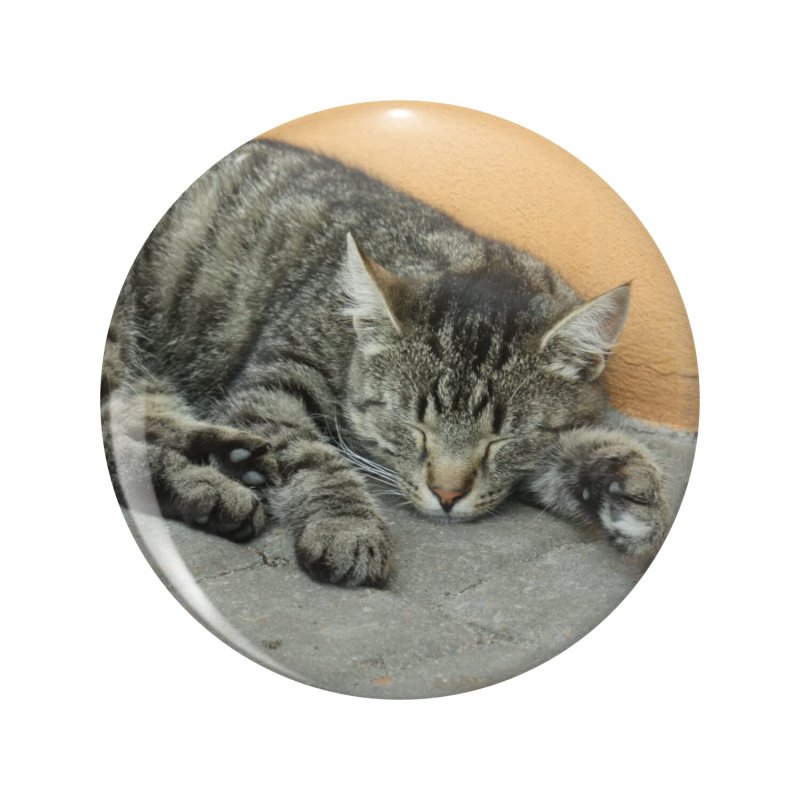 1080 Graphics Street Cat Sleeping Key Chain Double Sided Stainless Steel Keychain
