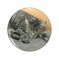 1080 Graphics Street Cat Sleeping Key Chain Double Sided Stainless Steel Keychain 