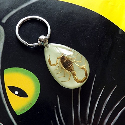 Samfe Real Insect Glow-in-the-dark Key Chain Scorpion