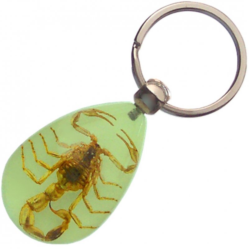 Samfe Real Insect Glow-in-the-dark Key Chain Scorpion