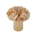 Vicenza Designs K1098 Carlotta Passionflower Knob Small Polished Gold 