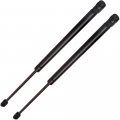 Liftgate Lift Supports Gas Springs Struts Shocks For Toyota Matrix 2003-2008 
