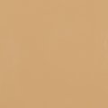 Universal Premium Two Inch Solid Stripe Auto Truck Customizing Tfx 0132068-2 X 50 068 Buckskin