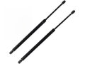 Rear Hatch Tailgate Strut Set 2 Piece For 2004-2007 Buick Rainier 