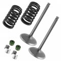 Caltric 2x Intake Valve Kit Compatible With Yamaha Wr450f Wr 450f 2016 2017 2018 1sl121110000 3ld-12118-00-00