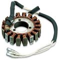 Ricks Motorsport Electric Stator 21-202 