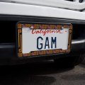 Geometric Tyrannosaurus Rex Dinosaur Aztec Mayan Style License Plate Tag Frame